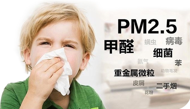 綠奇環(huán)?？萍? title=